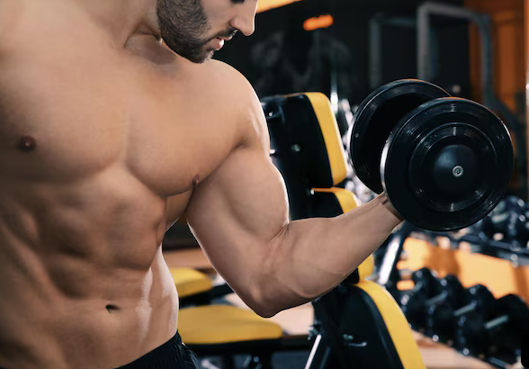 Guia Completo: Como Ganhar Massa Muscular Rápido e Sem Anabolizantes