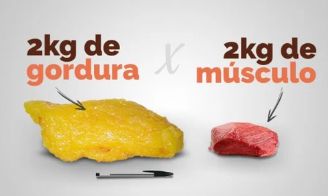 Comparação entre 2 kg de gordura e 2 kg de músculo, mostrando a diferença de volume
