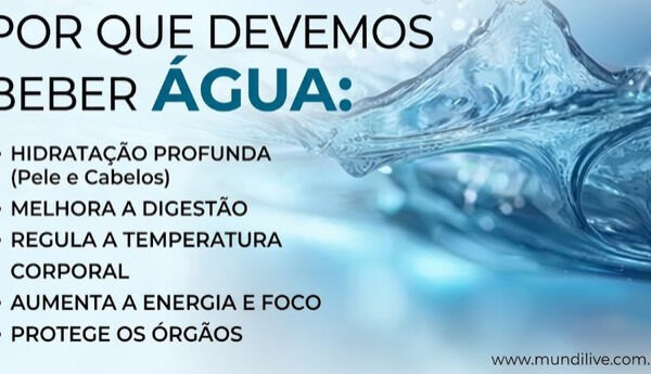 Por que devemos beber água? Entenda quanta água precisamos por dia